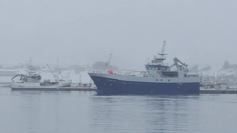 Fiskefartøy til sjøs under aktiv drift